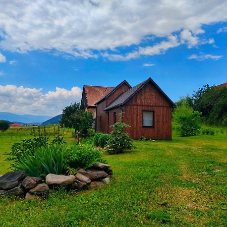 Organicle Lodge Sincraieni Exteriér fotografie