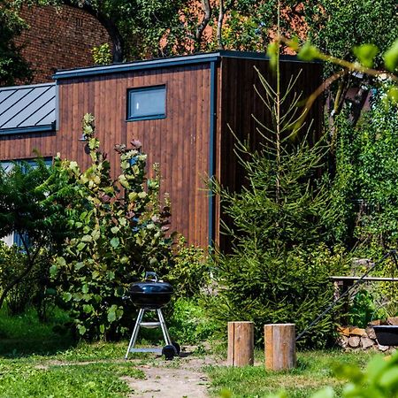 Organicle Lodge Sincraieni Exteriér fotografie