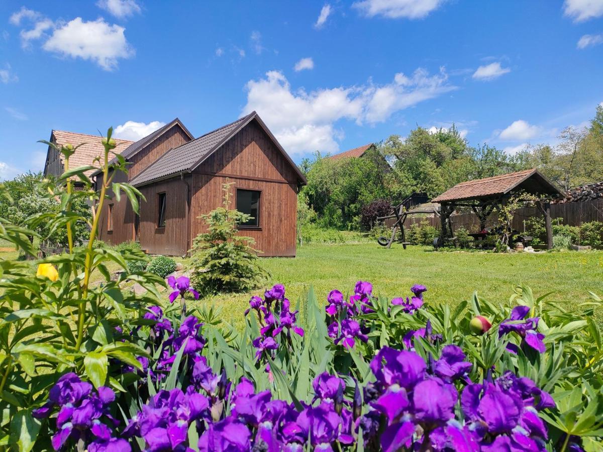 Organicle Lodge Sincraieni Exteriér fotografie