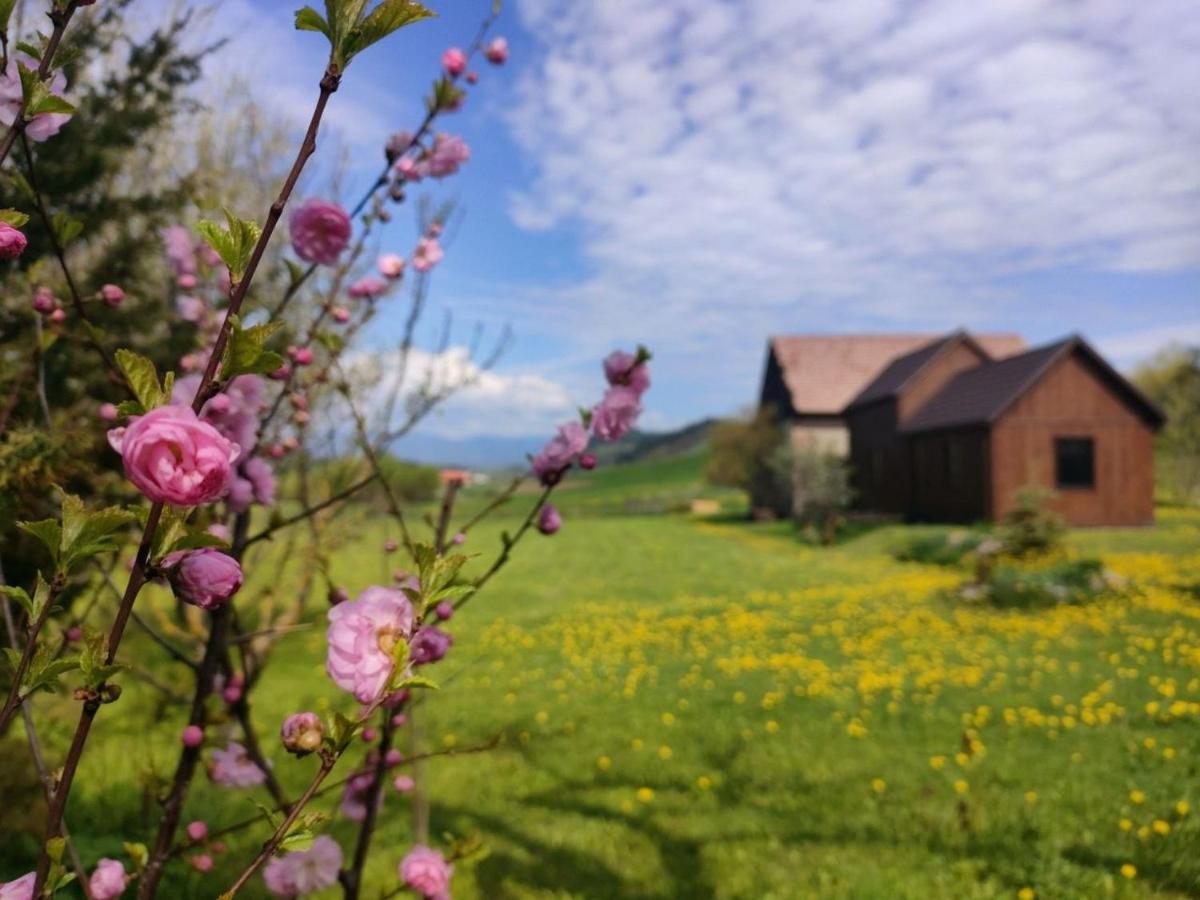 Organicle Lodge Sincraieni Exteriér fotografie