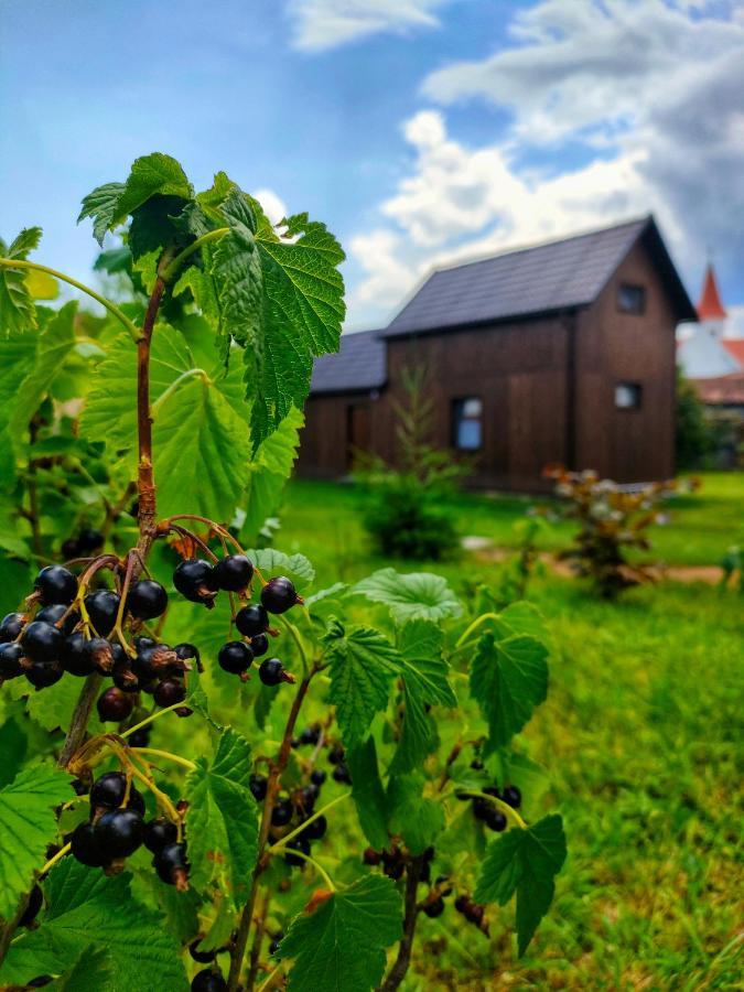 Organicle Lodge Sincraieni Exteriér fotografie