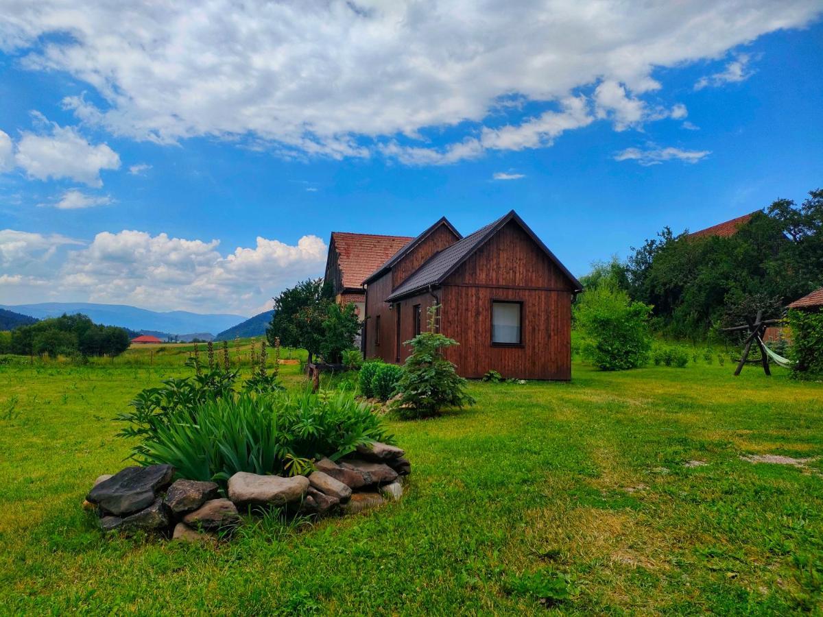 Organicle Lodge Sincraieni Exteriér fotografie