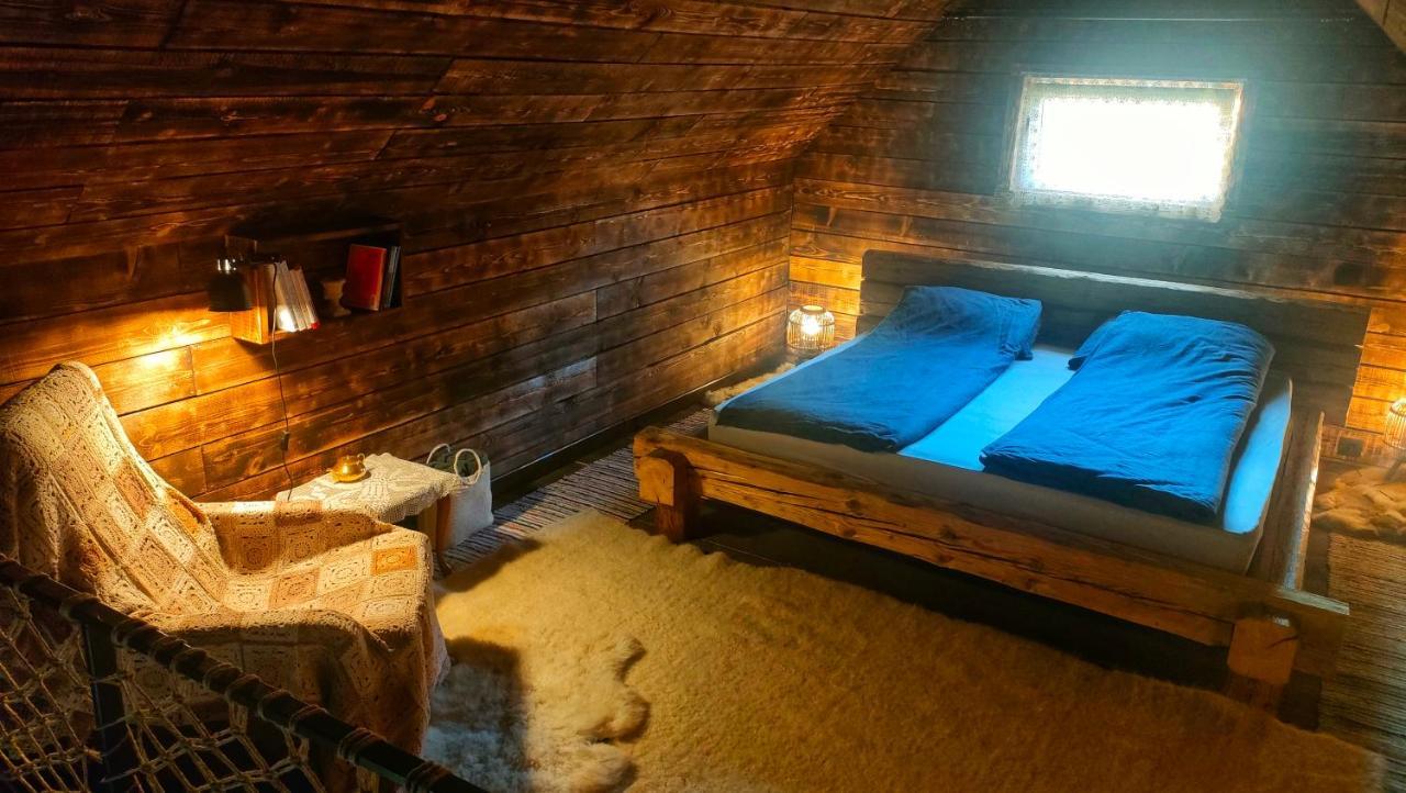 Organicle Lodge Sincraieni Exteriér fotografie