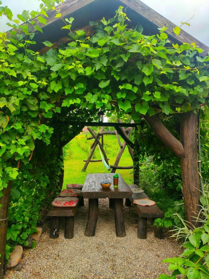Organicle Lodge Sincraieni Exteriér fotografie
