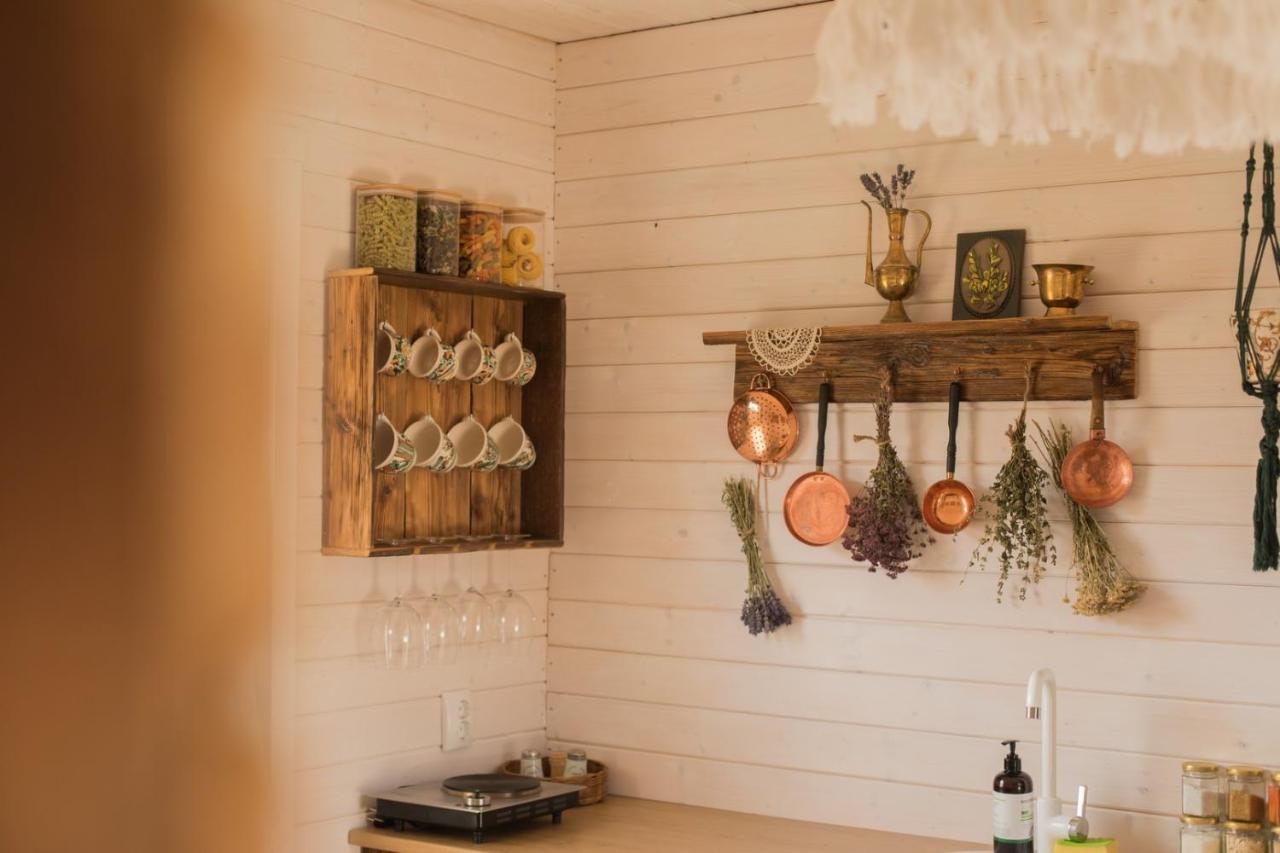 Organicle Lodge Sincraieni Exteriér fotografie