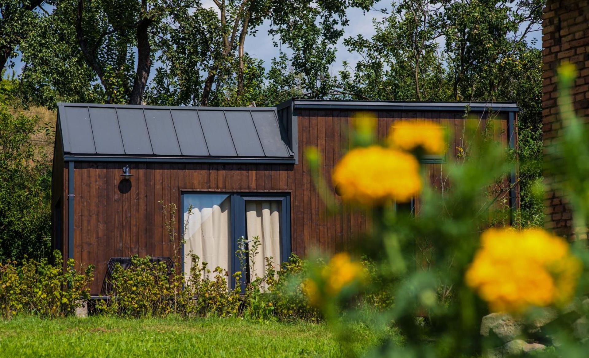 Organicle Lodge Sincraieni Exteriér fotografie